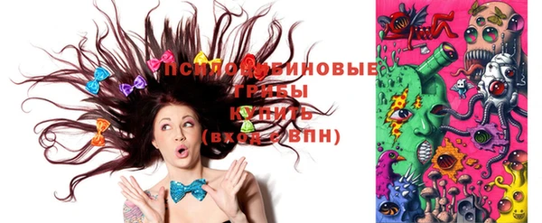 дурь Нея