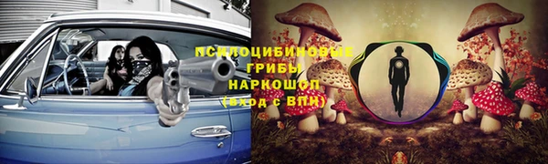 Альфа ПВП Новодвинск