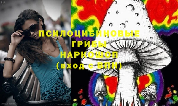 МДПВ Новозыбков