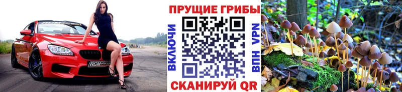 Галлюциногенные грибы Psilocybe  как найти закладки  Отрадная 